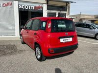 Usata Fiat Panda Easy 69 CV (50 kW) 2021 Rosso Utilitaria
