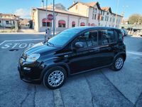 Usata Fiat Panda City Life 69 CV (50 kW) 2023 Nero Utilitaria