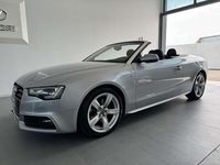 Usata Audi A5 Cabriolet Business Plus 190 CV (139 kW) 2015 Cabrio