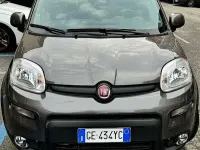 Usata Fiat Panda 4x4 Wild 86 CV (63 kW) 2026 Grigio Utilitaria
