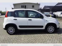 Usata Fiat Panda Street 70 CV (51 kW) 2022 Bianco Utilitaria