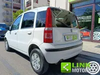 Usata Fiat Panda Dynamic 69 CV (50 kW) 2006 Bianco Utilitaria
