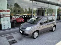 Usata Fiat Panda S 69 CV (50 kW) 2021 Grigio Utilitaria