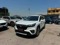 Usata Suzuki SX4 S-Cross 129 CV (94 kW) 2022 Bianco SUV