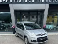 Usata Fiat Panda Easy 69 CV (50 kW) 2017 Argento Utilitaria