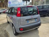 Usata Fiat Panda Easy 69 CV (50 kW) 2018 Grigio Utilitaria