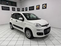 Usata Fiat Panda Easy 69 CV (50 kW) 2018 Bianco Utilitaria