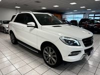 usata Mercedes ML250 ML 250Sport EURO 6-B