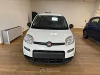 Usata Fiat Panda Sport 69 CV (50 kW) 2022 Other Utilitaria