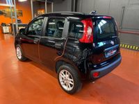 usata Fiat Panda 5 PORTE METANO