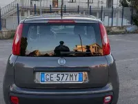 Usata Fiat Panda City Life 69 CV (50 kW) 2021 Utilitaria