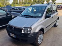 Usata Fiat Panda 4x4 Climbing 74 CV (54 kW) 2007 Grigio Utilitaria