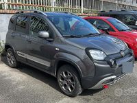 Usata Fiat Panda Cross Cross 85 CV (62 kW) 2019 Grigio Utilitaria