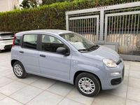 Usata Fiat Panda Easy 69 CV (50 kW) 2018 Grigio Utilitaria
