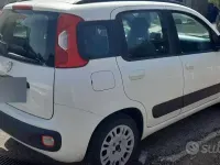 Usata Fiat Panda Lounge 69 CV (50 kW) 2012 Bianco Utilitaria