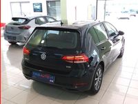 usata VW Golf 1.6 1.6 TDI Trendline 5p NEOPATENTATI