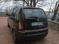 Brugt Lancia Musa 120 HK (88 kW) 2009 Brun MPV