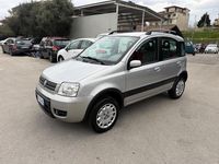 Usata Fiat Panda 4x4 Climbing 59 CV (43 kW) 2006 Argento Utilitaria