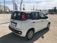 usata Fiat Panda 1.2 benzina Easy