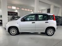 Usata Fiat Panda Easy 69 CV (50 kW) 2020 Argento Berlina