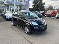 Usata Fiat Panda S 69 CV (50 kW) 2024 Nero Utilitaria