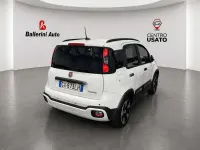 Usata Fiat Panda Cross Cross 69 CV (50 kW) 2025 Bianco Utilitaria