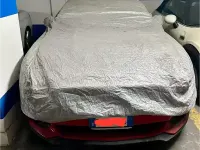 Usata Ford Mustang 317 CV (233 kW) 2016