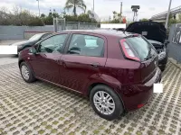 Usata Fiat Punto Lounge 95 CV (69 kW) 2012 Viola Utilitaria