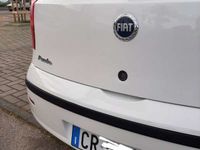 usata Fiat Punto Dynamic 1.2 5 porte benzina 44 kw