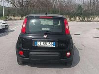 Usata Fiat Panda S 69 CV (50 kW) 2024 Nero Utilitaria