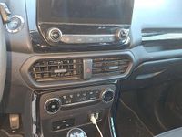 Usata Ford Ecosport Titanium 99 CV (72 kW) 2018 Blu SUV