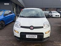 Usata Fiat Panda Connect 69 CV (50 kW) 2021 Bianco Utilitaria