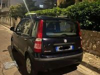 Usata Fiat Panda Dynamic 60 CV (44 kW) 2010 Utilitaria