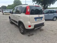 Usata Fiat Panda 4x4 Climbing 95 CV (69 kW) 2016 Beige Utilitaria
