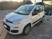 Usata Fiat Panda 80 CV (58 kW) 2014 Bianco Utilitaria