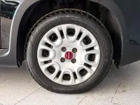 Usata Fiat Panda City Life 69 CV (50 kW) 2023 Nero Utilitaria