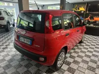 Usata Fiat Panda S 69 CV (50 kW) 2022 Rosso Utilitaria