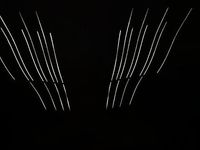 Usata Peugeot 2008 99 CV (72 kW) 2016 SUV