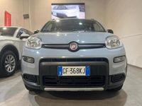 Usata Fiat Panda 4x4 84 CV (61 kW) 2021 Grigio Utilitaria