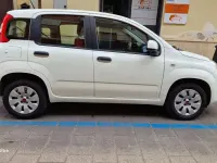 Usata Fiat Panda Easy 69 CV (50 kW) 2020 Utilitaria