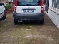 Usata Fiat Panda 2009 Bianco Utilitaria