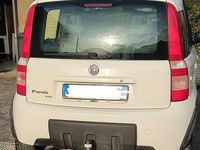Occasion Fiat Panda 4x4 Climbing 60 ch (44 kW) 2008 Blanc Citadine