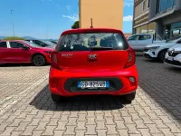 Usata Kia Picanto Urban 67 CV (49 kW) 2021 Rosso Utilitaria