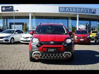 Usata Fiat Panda Cross Cross 2022 Rosso Utilitaria