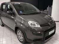 Usata Fiat Panda S 69 CV (50 kW) 2023 Grigio Utilitaria