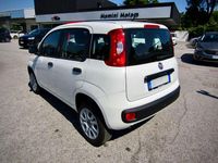 Usata Fiat Panda 71 CV (52 kW) 2019 Bianco Utilitaria