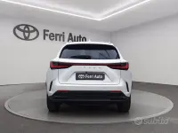 Usata Lexus NX450h+ 309 CV (227 kW) 2023 Bianco SUV
