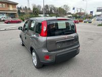 usata Fiat Panda 1.0 firefly Hybrid 70CV + SCHERMO BLUETOOTH