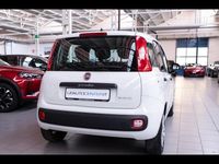 Nuova Fiat Panda Icon 70 CV (51 kW) 2025 Utilitaria