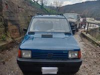 Usata Fiat Panda 4x4 1993 Blu Utilitaria